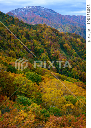 栂海新道の紅葉 108178898