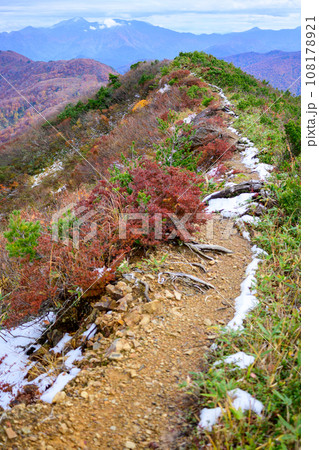 栂海新道の紅葉 108178921