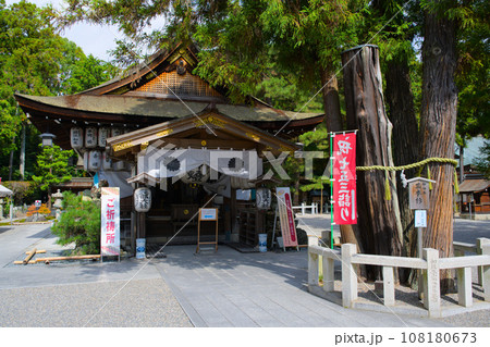 （近江国一之宮建部大社）建部大社　拝殿　滋賀県大津市神領 108180673