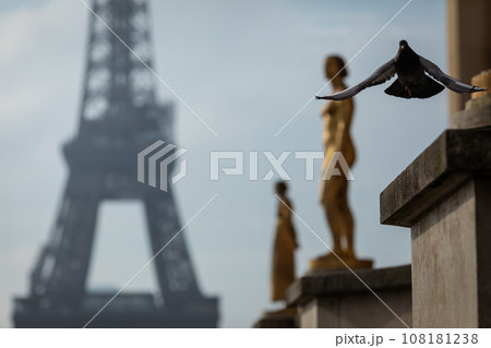 シャイヨー宮の銅像の列 108181238