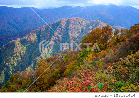 栂海新道の紅葉 108181414