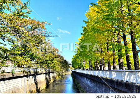 糀谷橋／石神井川(右岸：練馬総合運動場)より下流方向を望む(東京都練馬区)【2023.10】 108181928