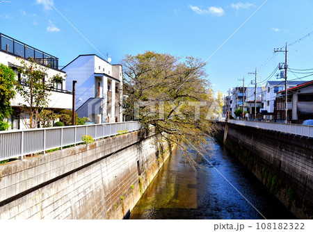 西早宮橋／石神井川より下流方向を望む(東京都練馬区)【2023.10】 108182322