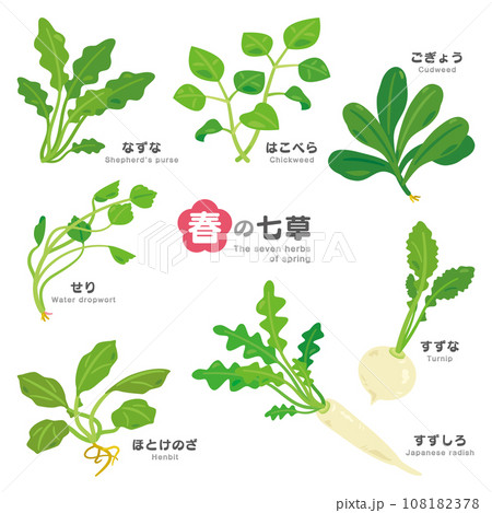 春の七草セット　ひらがなと英語付き 108182378