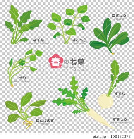 春の七草セット　ひらがなと英語付き 108182378