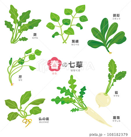 春の七草セット　漢字とふりがな付き 108182379