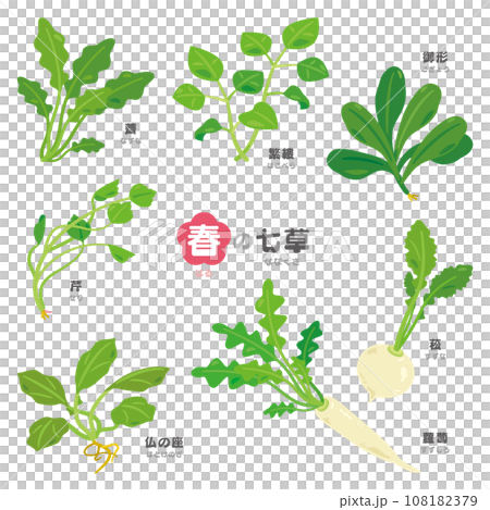 春の七草セット　漢字とふりがな付き 108182379