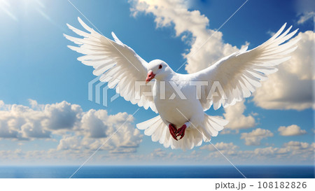 White dove in blue sky White dove in blue sky 108182826