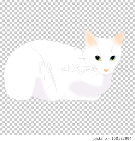 white cat 10 108182994