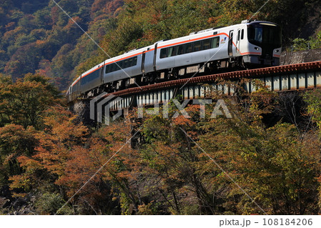 紅葉の高山本線を走る特急ひだ 108184206