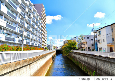 丸山橋／石神井川より(氷川台駅周辺)下流(正久保橋)方向を望む(東京都練馬区)【2023.10】 108184413