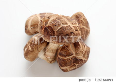 どんこ椎茸　白バック　白背景 108186094