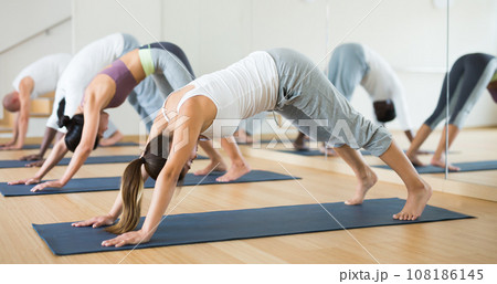 Young woman practicing yoga at group class 108186145