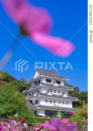 旭城と満開のコスモス〈愛知県尾張旭市〉 旭城と満開のコスモス〈愛知県尾張旭市〉 108186226