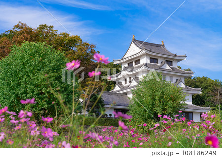 旭城と満開のコスモス〈愛知県尾張旭市〉 108186249