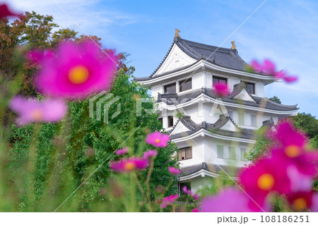 旭城と満開のコスモス〈愛知県尾張旭市〉 108186251