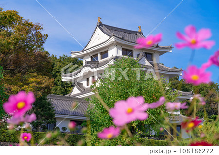 旭城と満開のコスモス〈愛知県尾張旭市〉 108186272