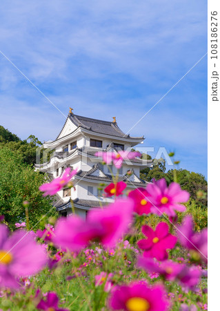 旭城と満開のコスモス〈愛知県尾張旭市〉 旭城と満開のコスモス〈愛知県尾張旭市〉 108186276