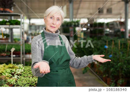 Polite friendly elderly saleswoman inviting to garden shop Polite friendly elderly saleswoman inviting to garden shop 108186340