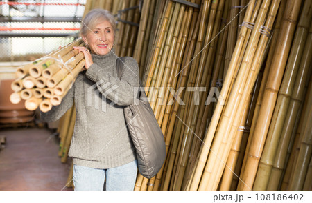 Smiling elderly woman carrying bunch of bamboo poles Smiling elderly woman carrying bunch of bamboo poles 108186402