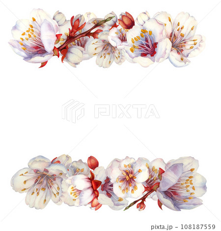 Watercolor square frames of blooming apricot branches and flowers Watercolor square frames of blooming apricot branches and flowers 108187559