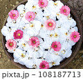 水に浮かぶ花 108187713