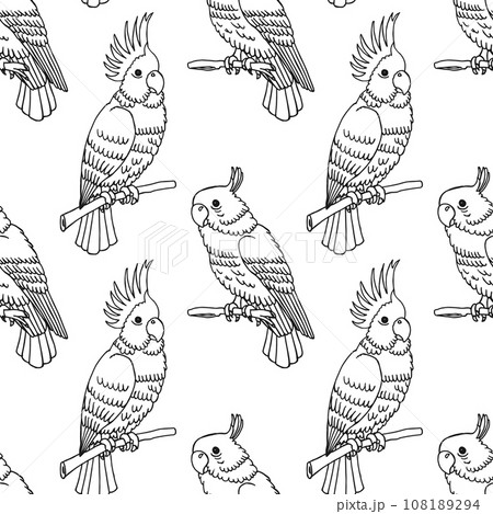 Seamless pattern, hand-drawn tropical birds parrots. Black and white print, background. Outline drawing, sketch. Vector Seamless pattern, hand-drawn tropical birds parrots. Black and white print, background. Outline drawing, sketch. Vector 108189294