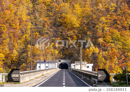 北海道　札幌　紅葉　定山渓　秋　温泉　さっぽろ湖　さっぽろ湖　二見吊り橋 108189931