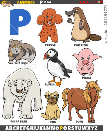 cartoon animal characters for letter P educational set cartoon animal characters for letter P educational set 108191770