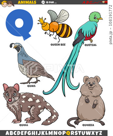 cartoon animal characters for letter Q educational set 108191772