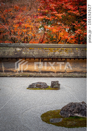 龍安寺の秋、石庭に見頃の紅葉、築地塀「油土塀」の渋い色合い 108192627