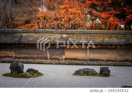 龍安寺の秋、石庭に見頃の紅葉、築地塀「油土塀」の渋い色合い 108192632