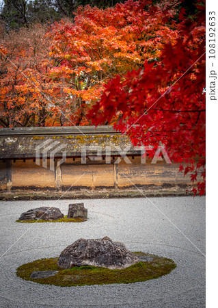 龍安寺の秋、石庭に見頃の紅葉、築地塀「油土塀」の渋い色合い 龍安寺の秋、石庭に見頃の紅葉、築地塀「油土塀」の渋い色合い 108192633
