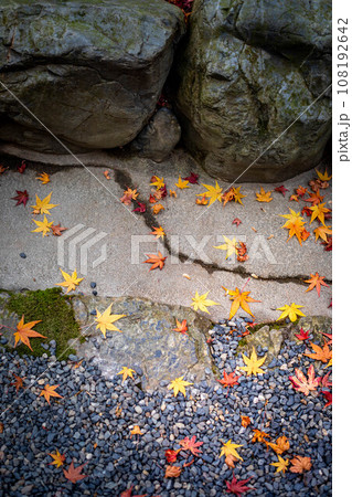 龍安寺の秋、参道の石畳と玉砂利に散る色鮮やかなカエデの落ち葉、風や水の流れを感じさせる地面 龍安寺の秋、参道の石畳と玉砂利に散る色鮮やかなカエデの落ち葉、風や水の流れを感じさせる地面 108192642
