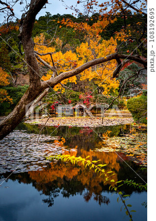 龍安寺の秋、色鮮やかな秋を映す鏡湖池の水鏡 龍安寺の秋、色鮮やかな秋を映す鏡湖池の水鏡 108192695