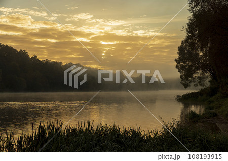 Morning fog on the surface of the river 108193915