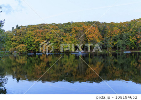 【北海道の紅葉2023】北斗市八郎沼公園の紅葉　飛行機雲とコラボ 108194652