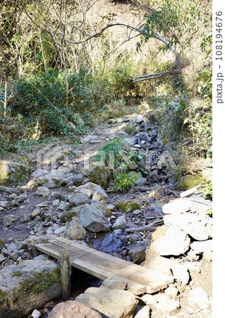 荒れた登山道 108194676