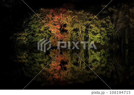 【北海道の紅葉2023】北斗市八郎沼公園の紅葉　イベント全体画角 108194715