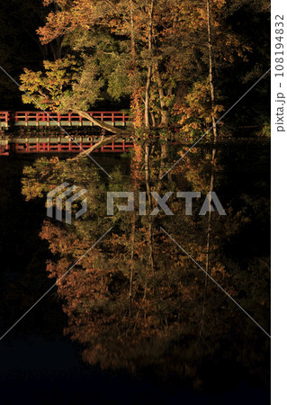 【北海道の紅葉2023】北斗市八郎沼公園の紅葉 夜、水鏡する木 【北海道の紅葉2023】北斗市八郎沼公園の紅葉 夜、水鏡する木 108194832