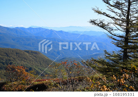 紅葉の季節　秋　志賀草津高原ルートからの風景　　　　　 108195331