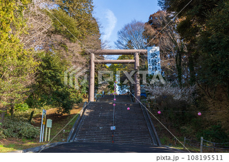 茨城水戸の春　水戸黄門を祀る常磐神社　大鳥居 108195511