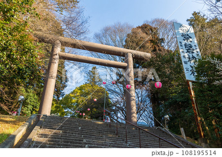 茨城水戸の春　水戸黄門を祀る常磐神社　大鳥居 108195514