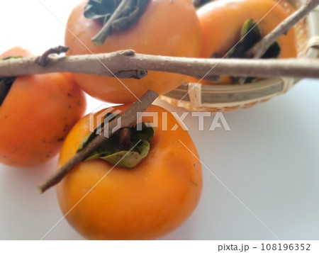 庭の柿で干し柿作りの準備 108196352