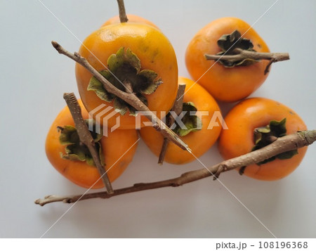 庭の柿で干し柿作りの準備 庭の柿で干し柿作りの準備 108196368