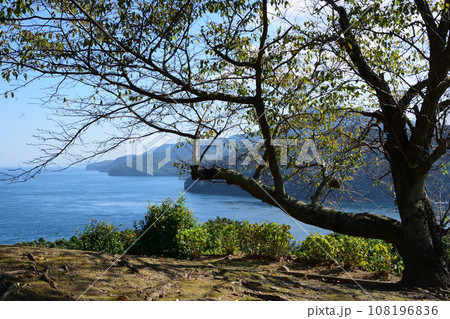 黒之瀬戸自然公園 108196836