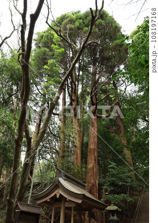 槵觸神社、境内から見る景色【日本・宮崎】 108197168