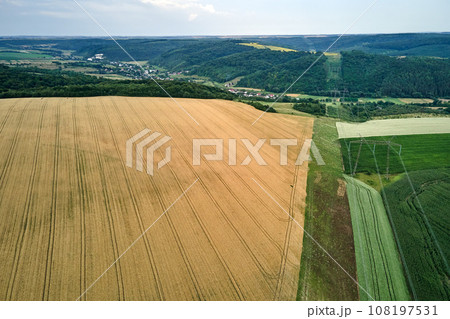 Aerial landscape view of yellow cultivated agricultural field with ripe wheat on bright summer day 108197531