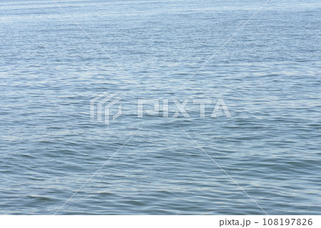 海 海 108197826
