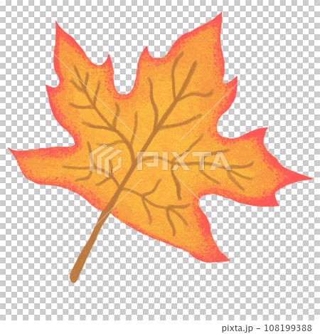 autumn maple leaf autumn maple leaf 108199388